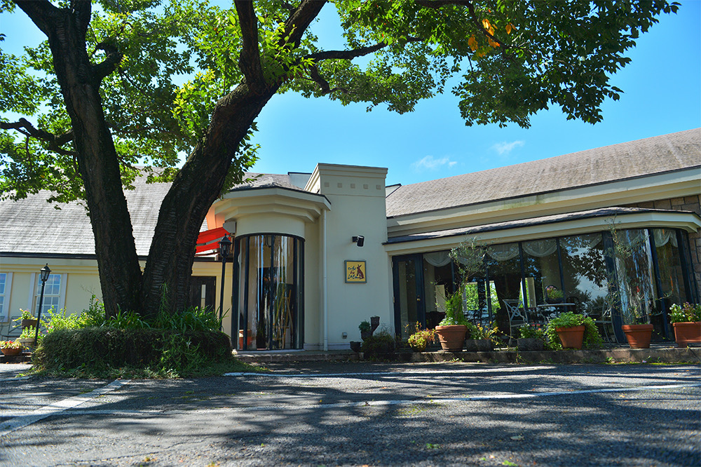 【茨城県守谷市】大粒フレッシュブルーベリーのパフェCAFE　DU　LAPIN